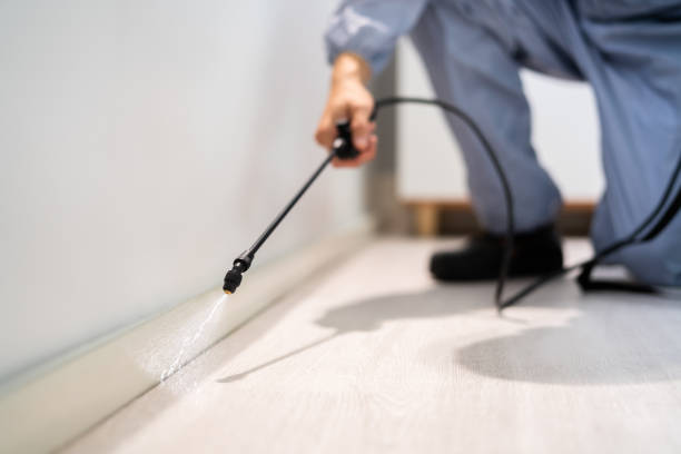 Licensed Pest Control service in Rogue River, OR - Show Me Pest Control